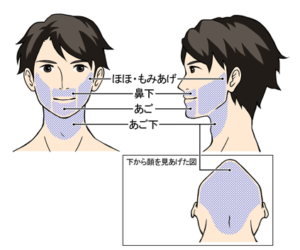 ヒゲの範囲が分かる画像2